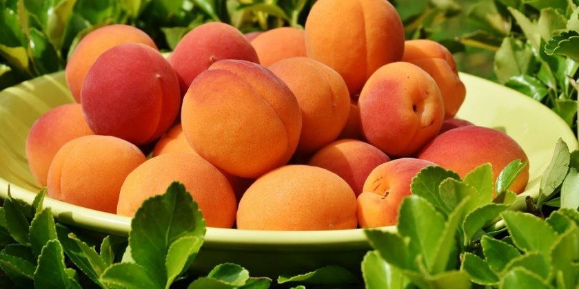 Health Benefits of Apricot