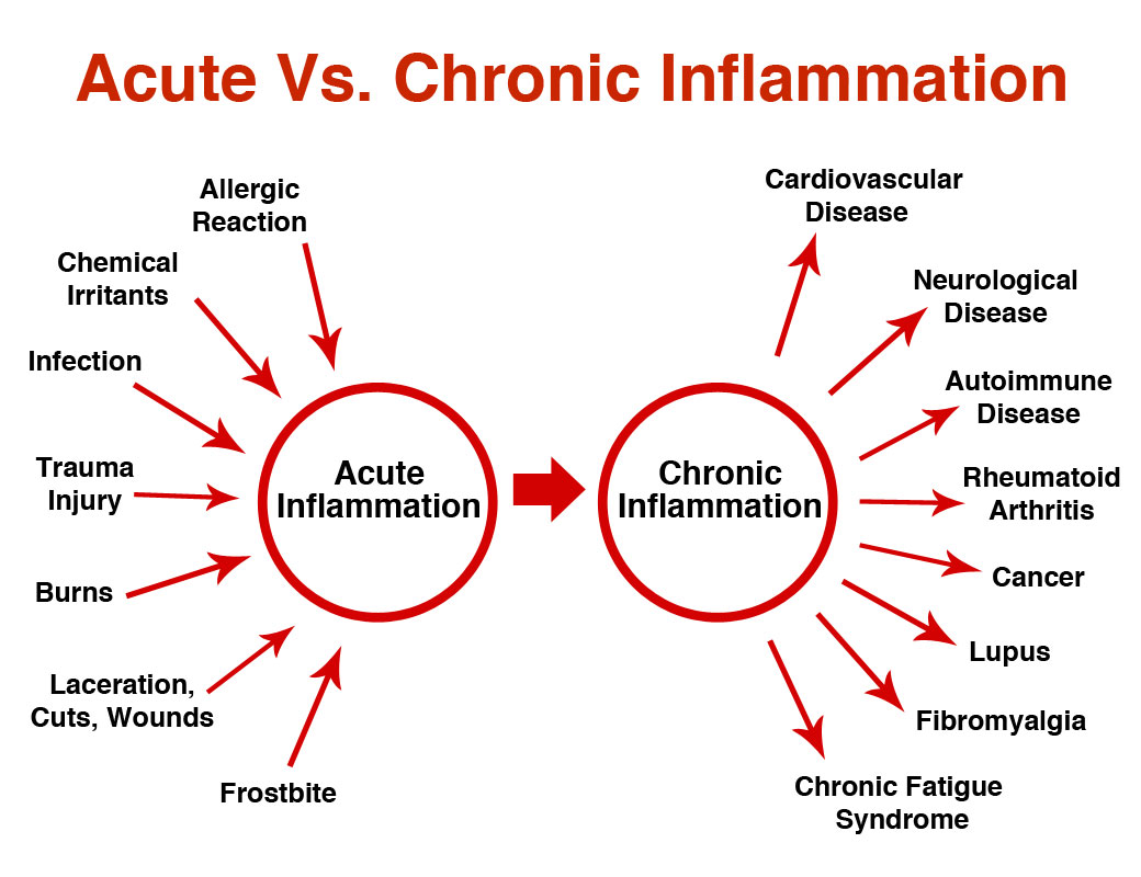 Hb Naturals Can Help Your Chronic Inflammation The Silent Killer