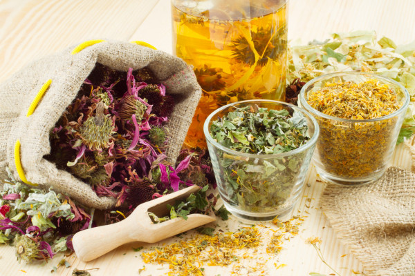 HB Naturals Herbs as Medicines Plants over Pills