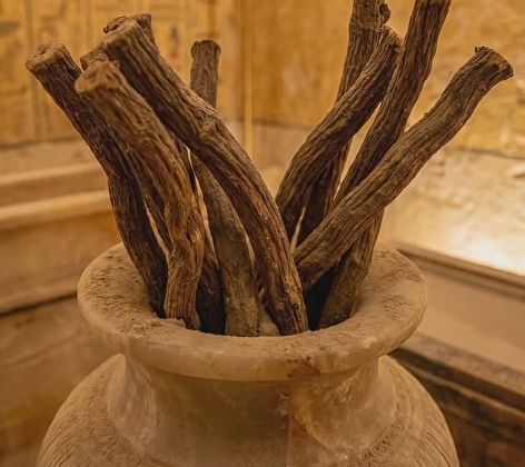 How licorice root powered ancient medicine