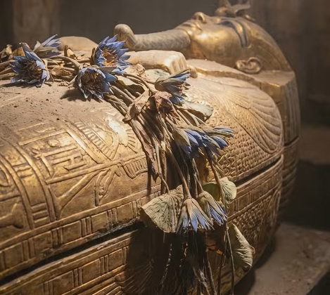 Blue Lotus’s ritualistic and medicinal use in ancient Egyptian culture