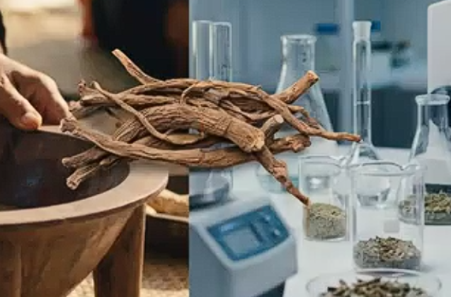 What Happens When Kava Meets Modern Medicine