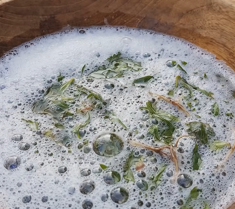 What Makes Soapwort a Natural Detergent